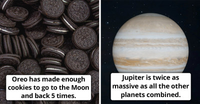 40 Of The Most Pointless And Weird Facts To Entertain Your Family And Friends