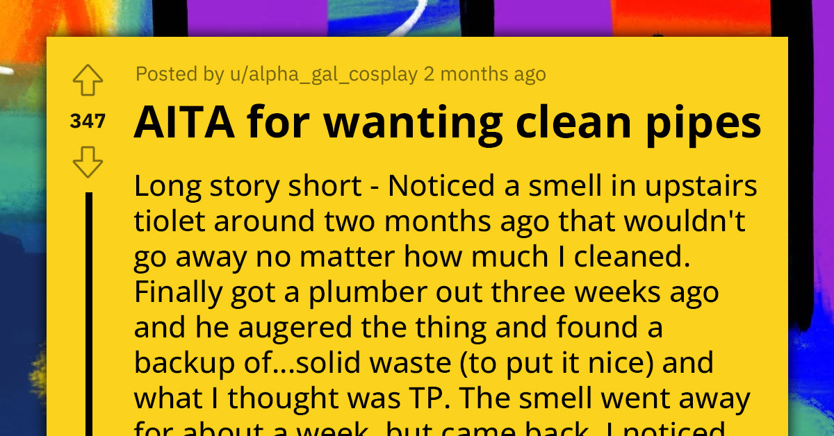 Redditor's Spouse Disregards Her Plea To Stop Flushing Wipes