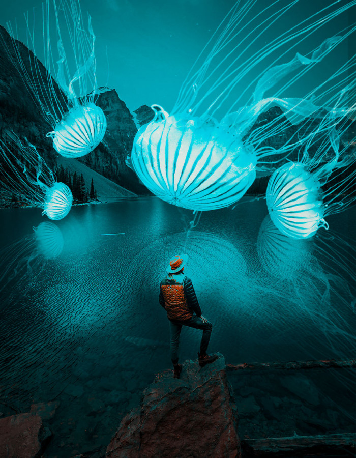 2. Jellyfish are so beautiful and calming to watch