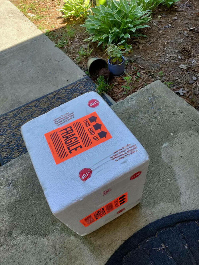 "This Is My Son’s Insanely Expensive Gene Therapy Medication For His Rare And Permanently Life-Altering Genetic Disorder. And They Also Knocked My Plant Out Of Its Pot. Just For An Extra 'F You'"