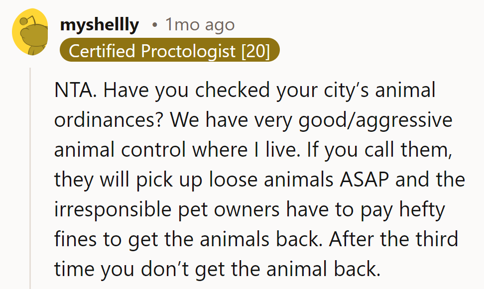 NTA. Check local ordinances; our animal control is swift, with fines and no third chances for repeat offenders.