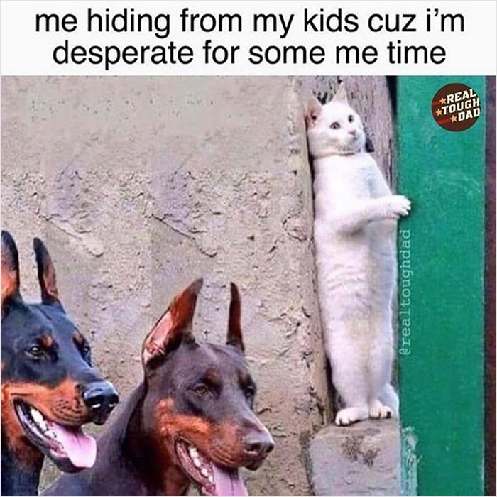 24. I just camouflage myself in any area I can when this happens.