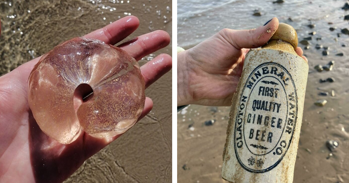 50 Incredible Finds That Wash Up On Beaches