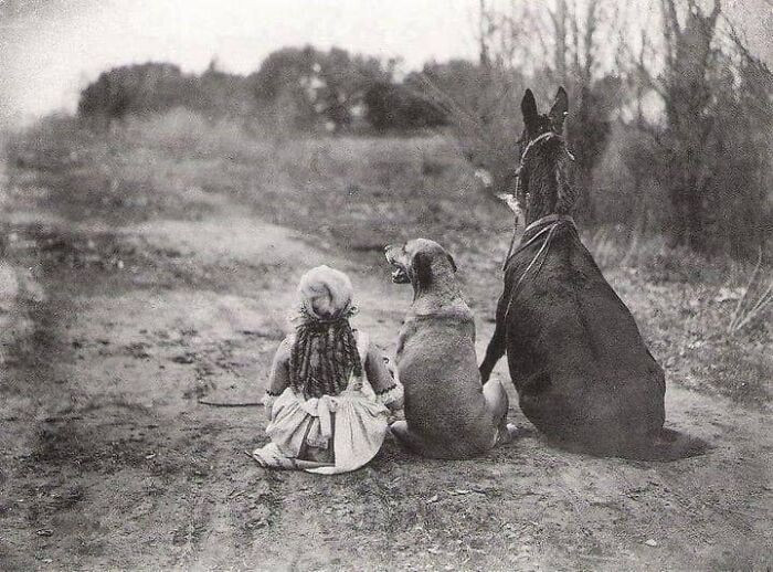 18. A girl, a dog, a mule. From the 1921 silent film