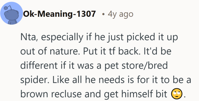 Suddenly the argument is not about feelings. It is about not getting bitten by a mystery spider.