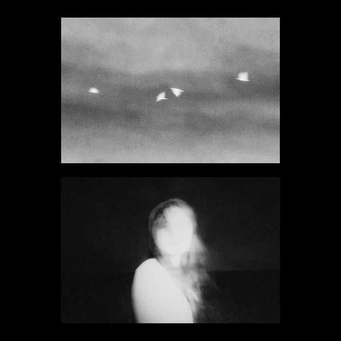 Ua Natural Cadence From The Series 'Of Birds And Being' By Tzion Essel