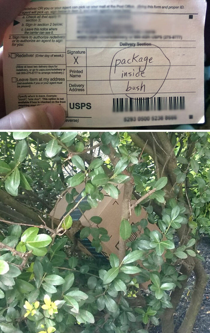 "I Don't Live In A Great Neighborhood. Thanks, USPS"