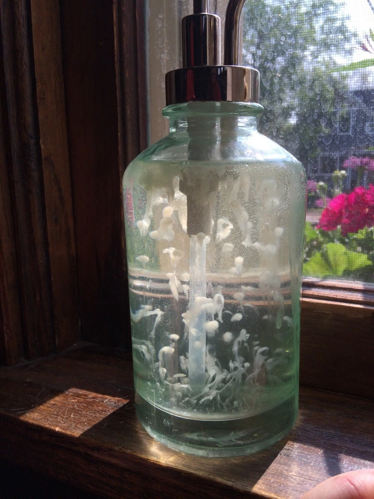 5. “I refilled my soap dispenser with a different brand. The old soap mixed with the new one and made little jellyfish-looking soap creatures.”