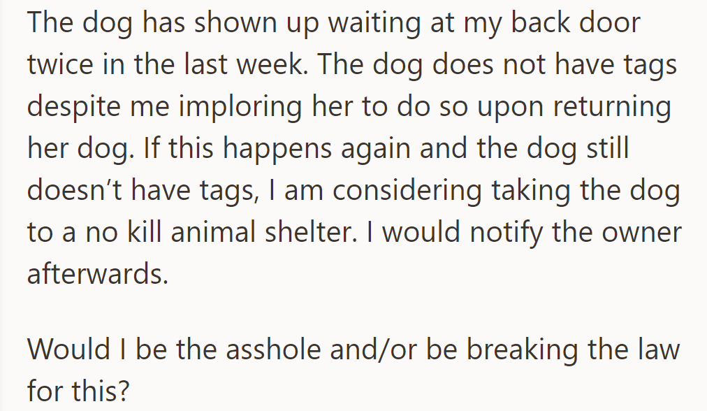 The dog appeared at her door twice this week without tags. She's considering taking it to a shelter and notifying the owner.