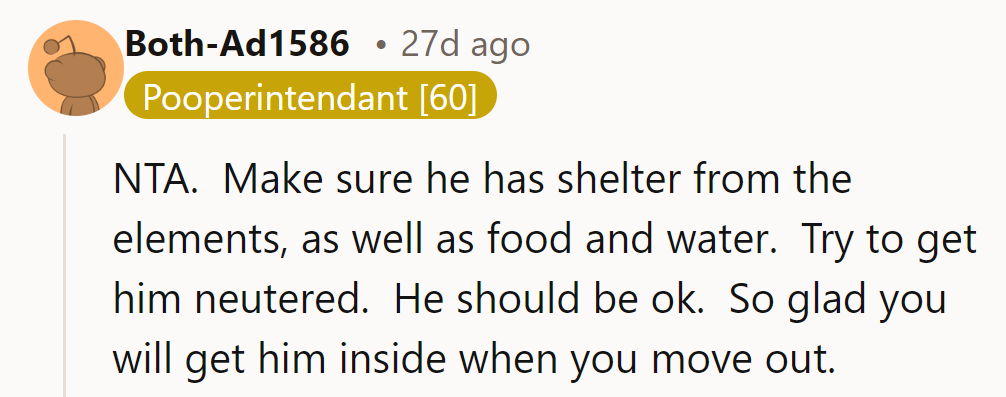 He's NTA. Ensure Nibbles has shelter, food, water, and gets neutered. Excited he'll be indoors soon!