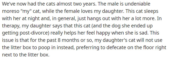 After nearly two years of having the cats, a distinct bond has formed between the male cat and OP, while the female cat has become a devoted companion to their daughter, bringing comfort and happiness.
