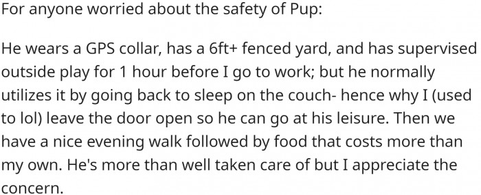 Puppy is well taken care of, and the sliding door will be upgraded with inserts.