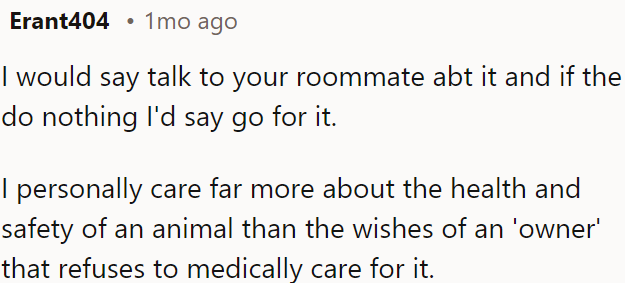 The OP should prioritize the health and safety of animals, even if it means ignoring the wishes of owners who neglect their pets' medical needs.