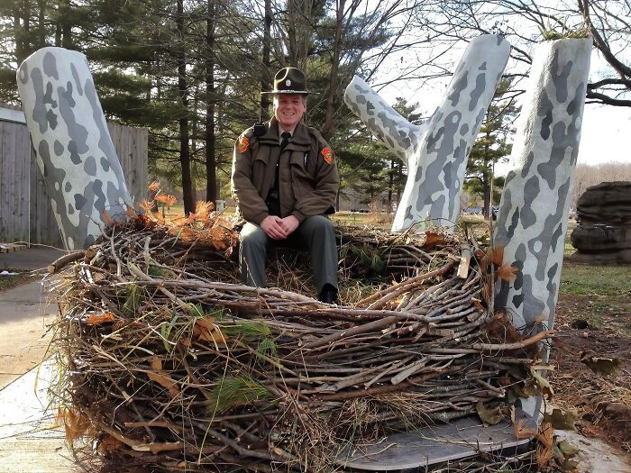 14. A Bald Eagle's nest not only carries Hobbits to safety but Park Rangers, too!