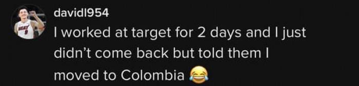 People gave hilarious excuses for quitting their Target jobs soon after starting.