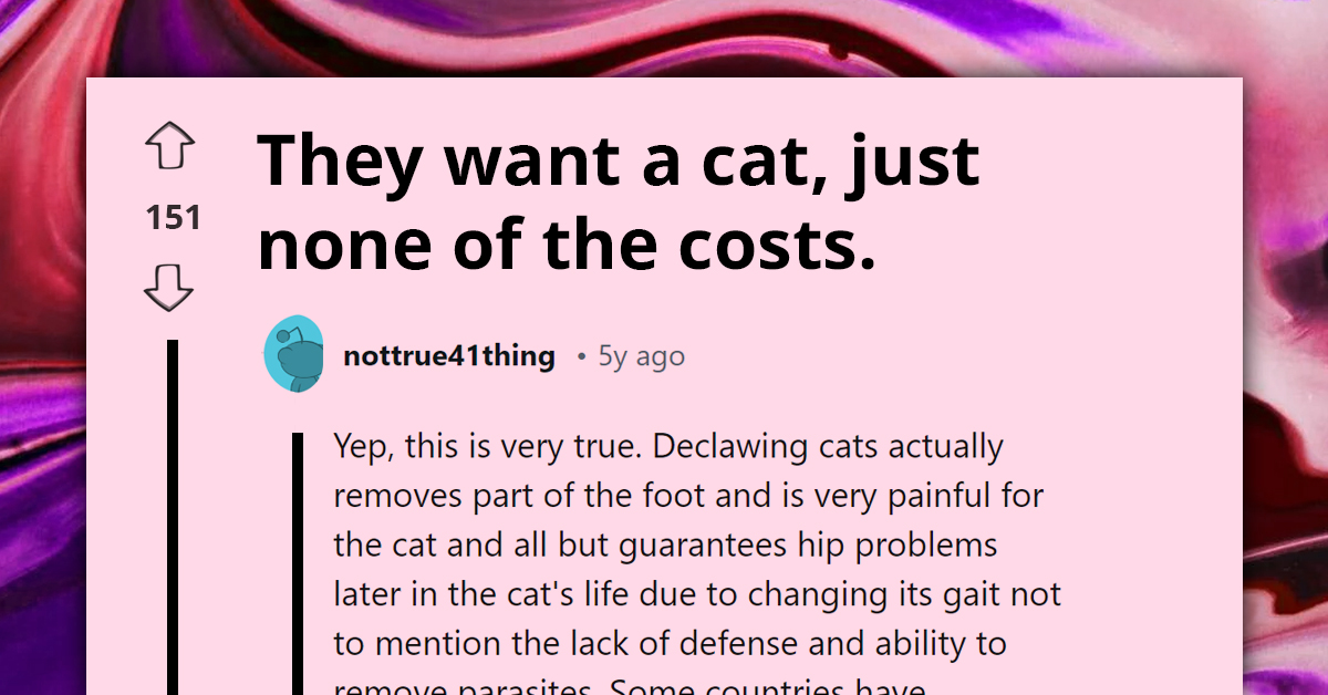 Redditors Put Choosing Beggar On Blast For Wanting Cat, Just None Of The Costs