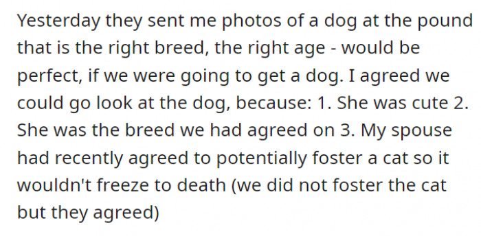 Under the right circumstances, the spouse sent dog photos to OP. They agreed to go see it.