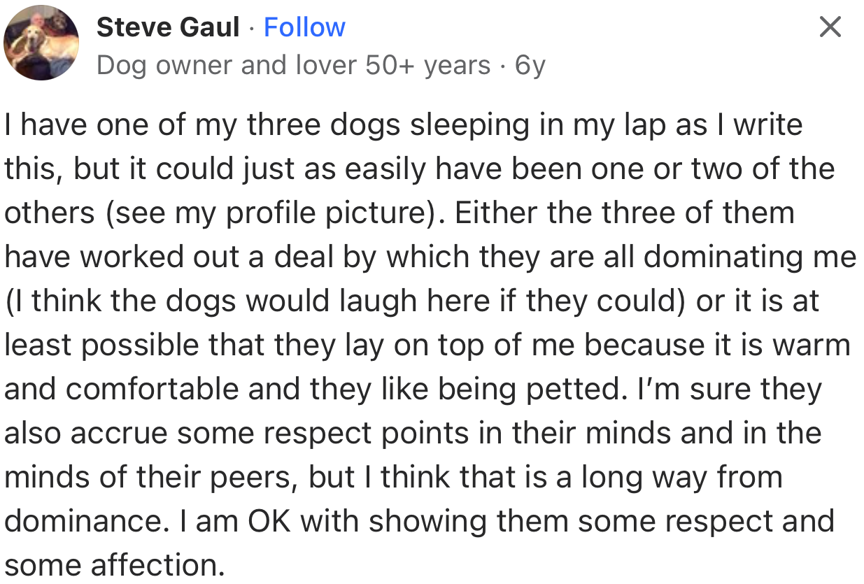 Is this a sign of domination, or are these dogs just looking for a warm place to put their head and be petted?