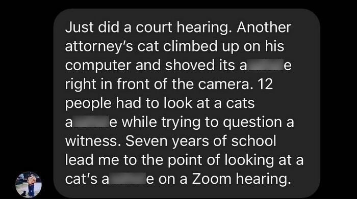 10. Ah, those Zoom hearings...