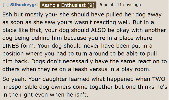 He should have placed the dog in a spot where he could see it.