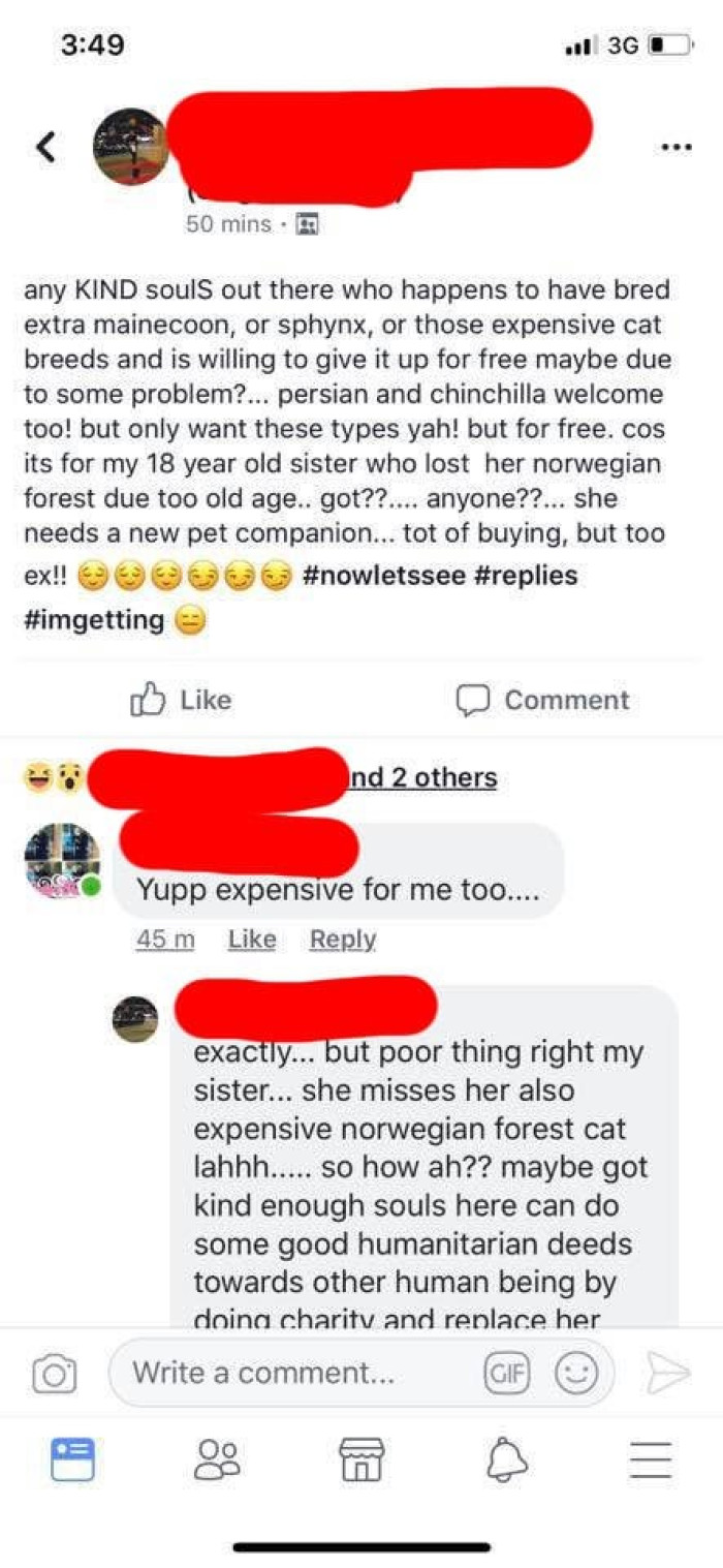 Someone shared a screenshot: