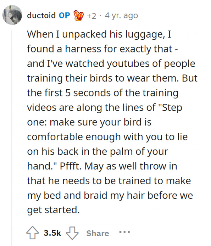Here's OP's response to the previous comment—Bongo's previous owners actually owned a harness for him. Cute, but not feasible for OP.