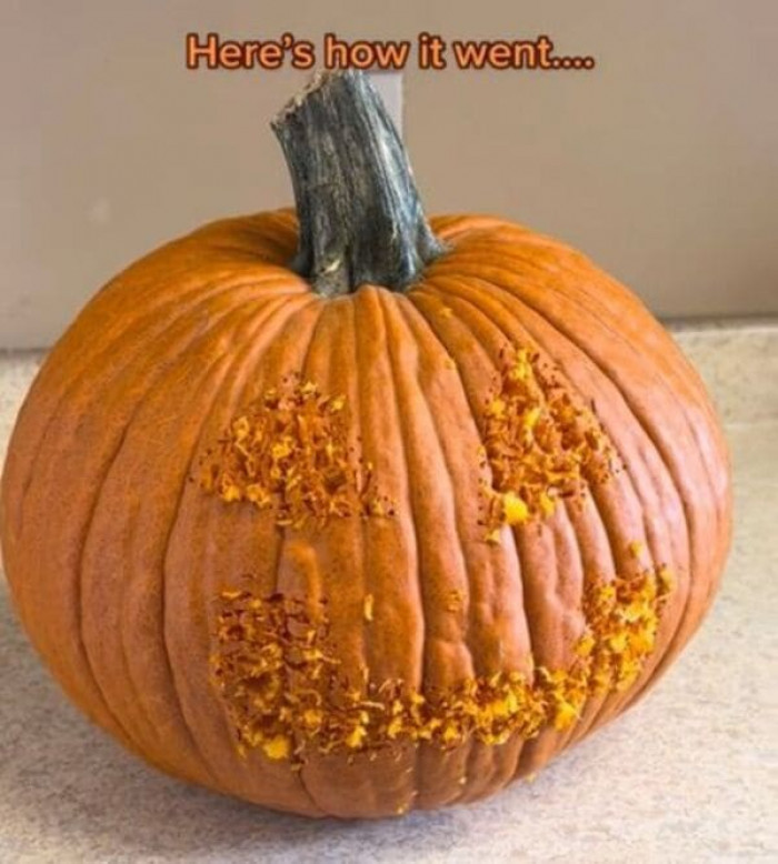 This is how she started off the pumpkin, sharing the journey over four days of her chickens pecking at it.