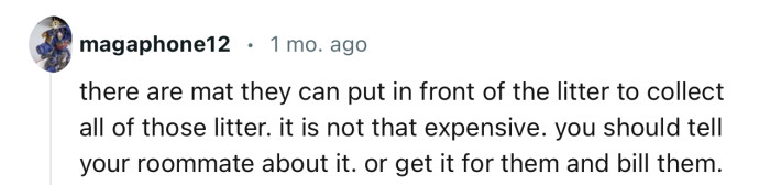 “There Are Mats They Can Put in Front of the Litter to Collect All of That Litter.”