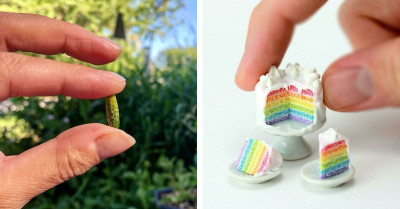 Exploring The Fascinating World Of Tiny Creations And Nature’s Wonders