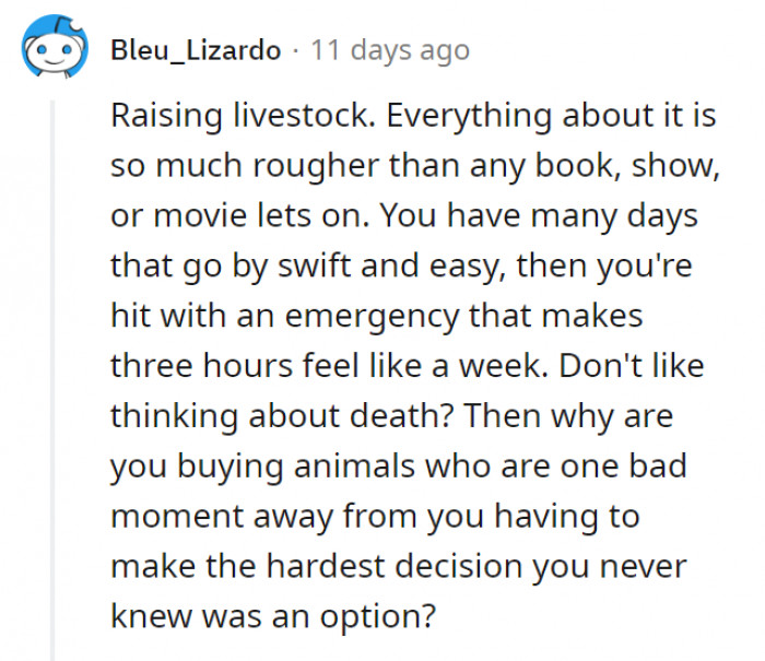 We blame Charlotte's Web for this.