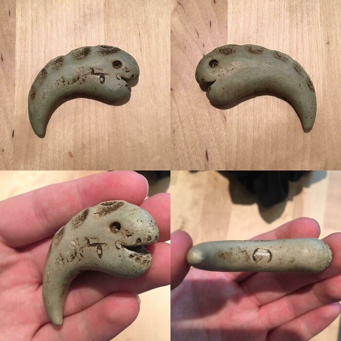 26. A Fish Like Object Found In A River