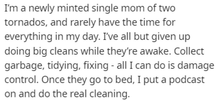 OP is a single mom of two, and she rarely has enough time to do her chores during the day