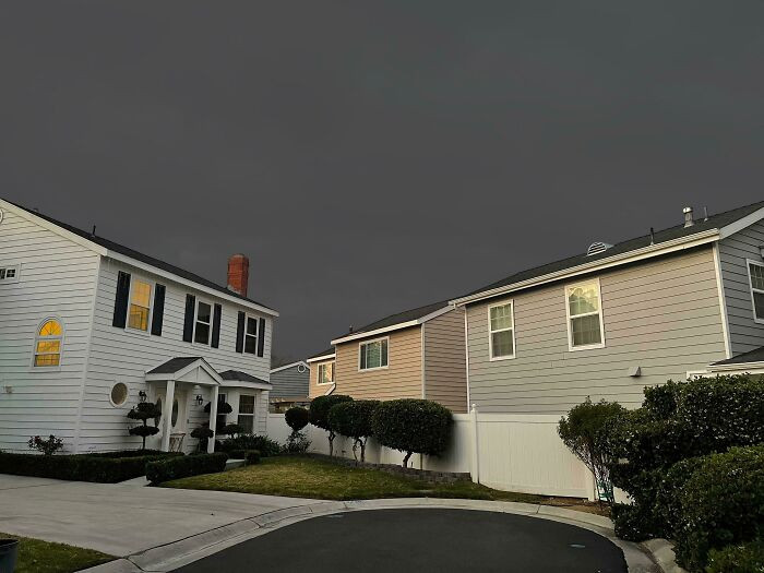 "Strange Neighborhood"