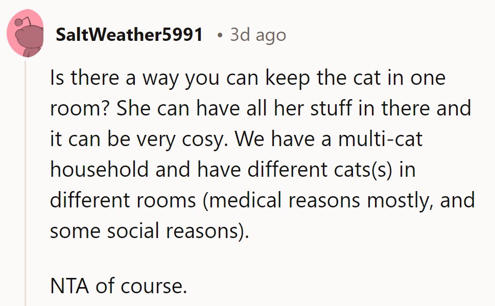 Can the cat have a cozy room? Different rooms can work wonders. NTA.
