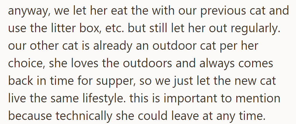 They let the new cat eat with their old one and use the litter box, but she's also free to go outside, like their other cat.