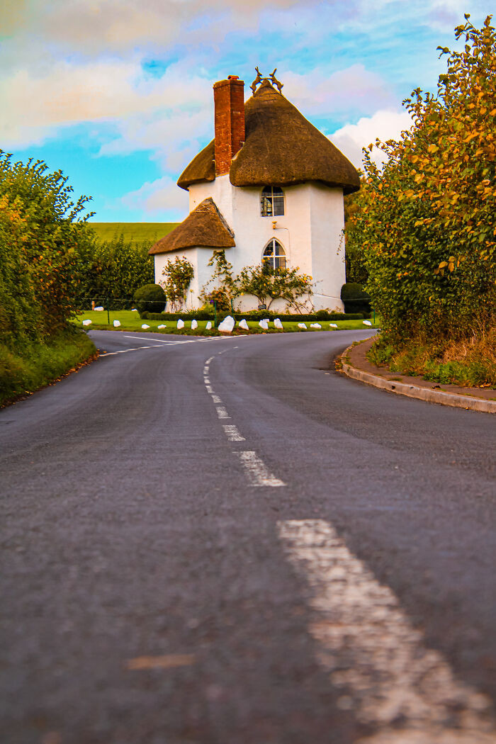 “Road To Ruin (My Camera Roll)”