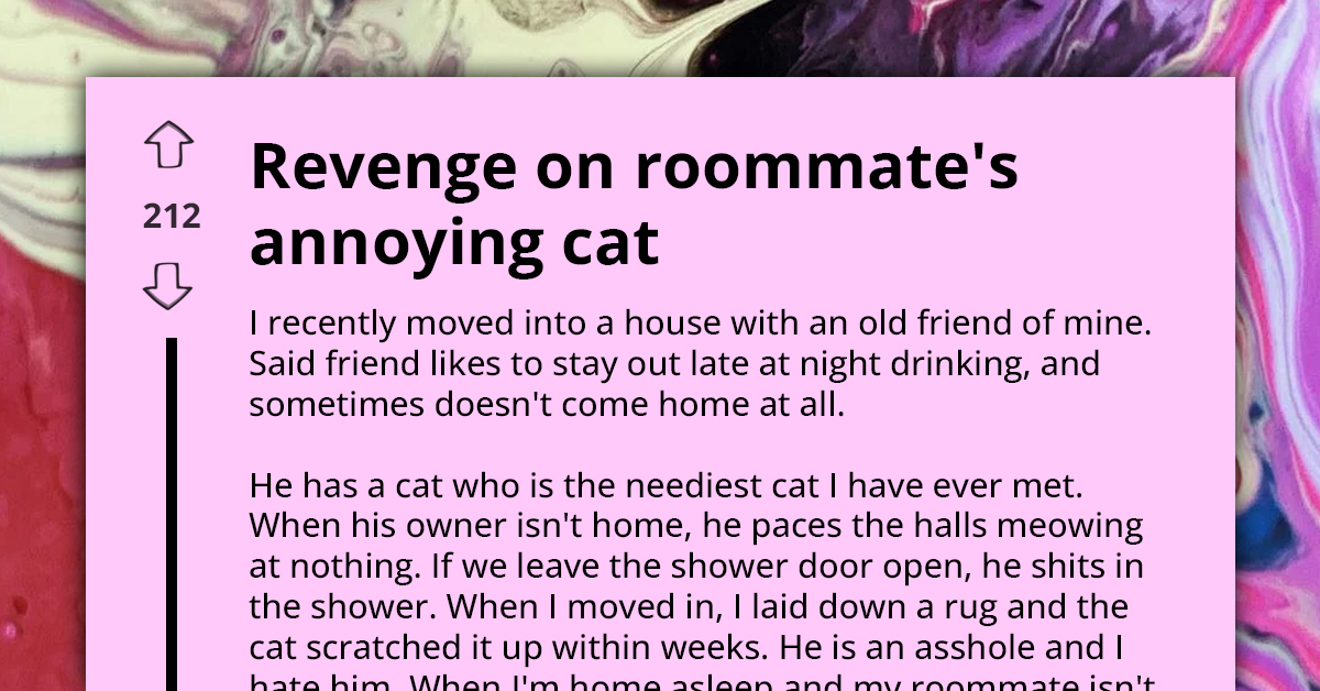 Redditor Shares Harrowing Experience Dealing With Roommate’s “Feline From Hell,” And How They’re Serving Up Sweet Revenge
