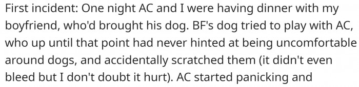 One night, OP’s boyfriend brought a dog that scratched the American cousin. They became worried about contracting rabies (even though the dog was fully vaccinated) and insisted that OP take them to the hospital.