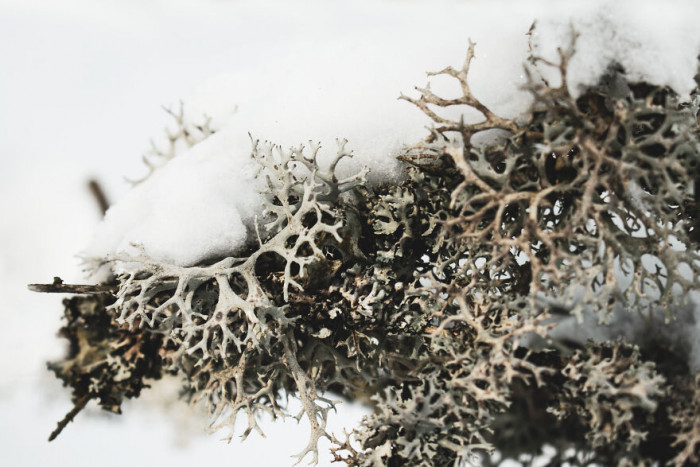 13. The magic of beauty is hidden in the details: