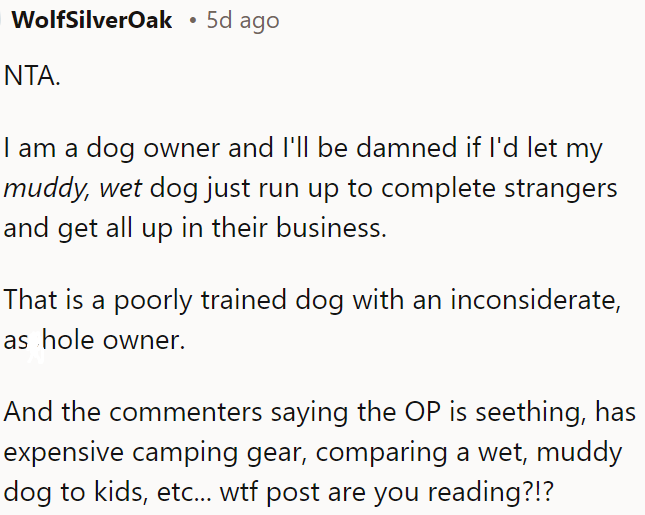 A dog owner should not allow their muddy dog to bother strangers.