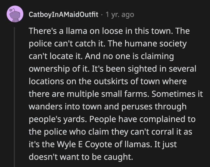 2. If it's smart enough to evade authorities then its space must be respected, that's the law