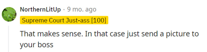 A picture is worth a thousand snowflakes—it's the cold, hard evidence their boss needs to chill out.