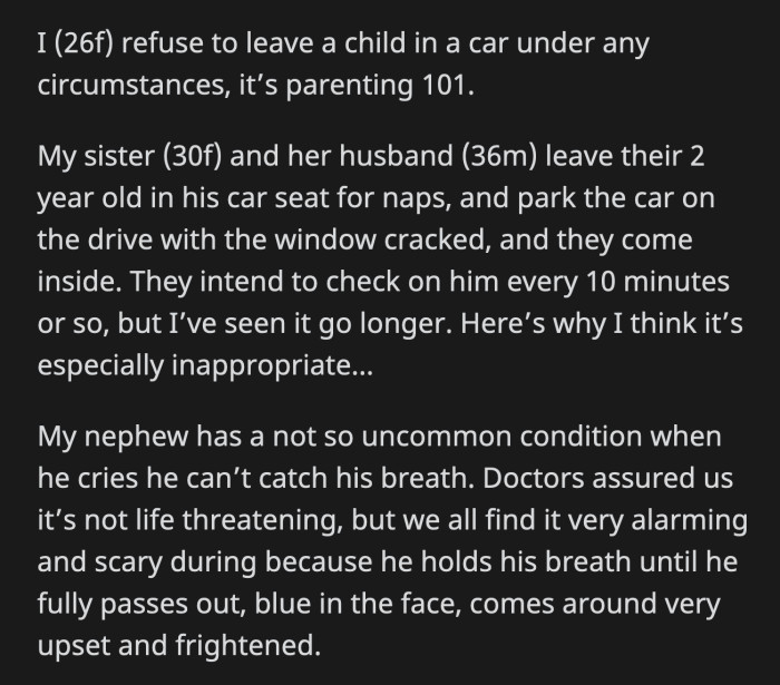 It was clear no one was planning to take him into the house, so OP grabbed her sister's car keys