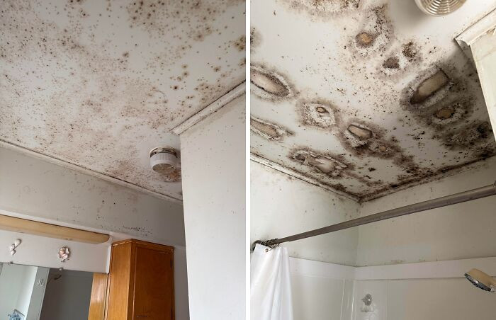 "Mold In My Bathroom And My Parents Are In Denial"