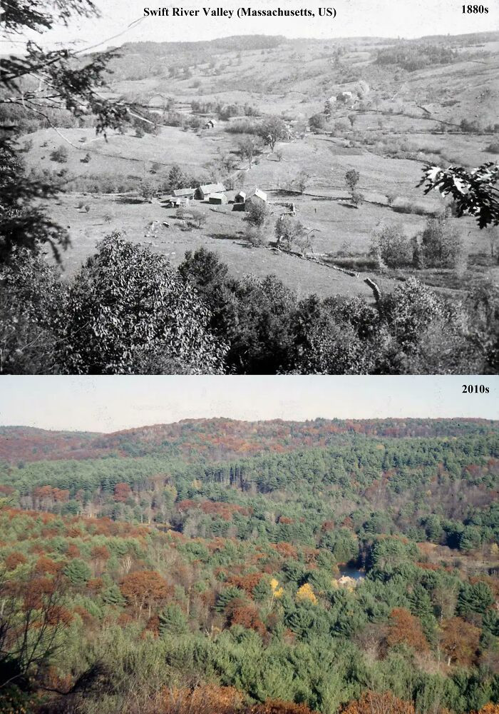 "Swift River Valley (Massachusetts, Us) 1880s vs. 2010s"