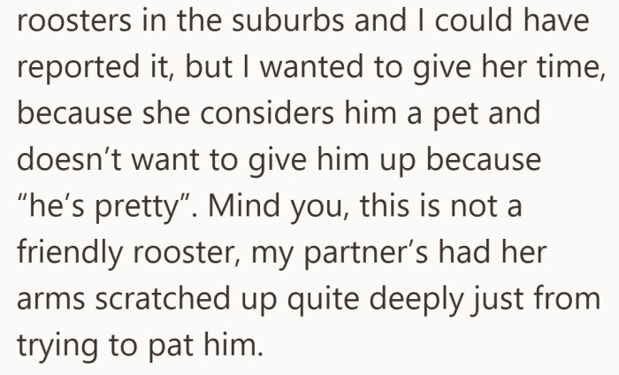 Affection for the pet starts to outweigh concerns about noise, safety, and common sense.
