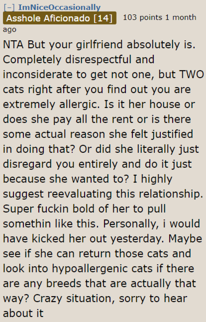 He Only Wants to Get Rid of the Cats, but Some Redditors Are Telling Him That He Might Need to Reevaluate the Relationship Since the Girlfriend Disrespected His Wishes.