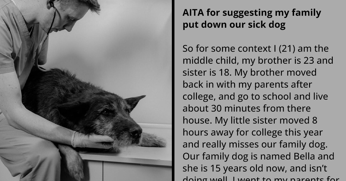 Redditor Wants To Put Down Sick Family Dog, Gets Called Selfish By Parents And Siblings