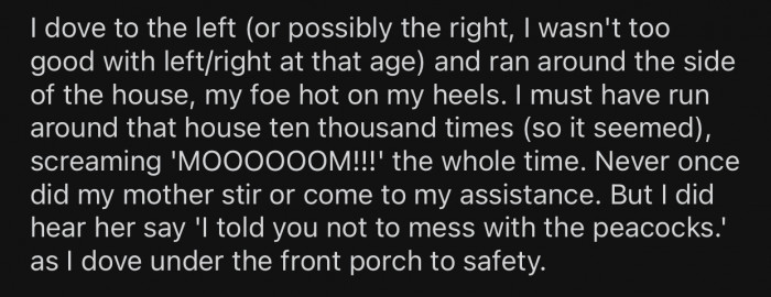 OP's mother ignored her the whole time and let her deal with the situation alone.