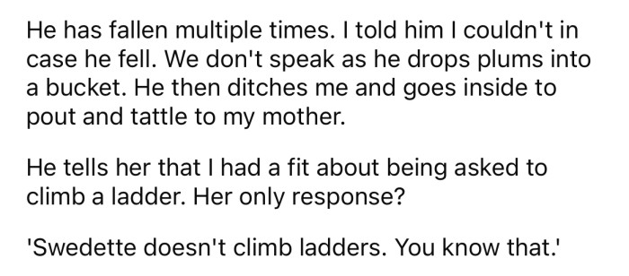 Since her stepfather has already fallen several times, the OP told him he shouldn't be climbing the ladder either.